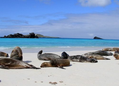 ECUADOR BASICO GALAPAGOS-QUITO